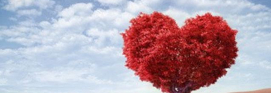 Une relation prend fin... L'importance de votre signe astrologique ? 