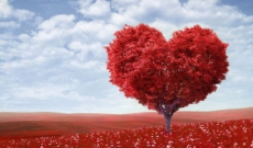 4 résolutions pour trouver l'amour en 2016 !