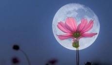 Astrologie: La Pleine Lune du 30 Avril 2018 – La Réussite Finale (MARIBEL)